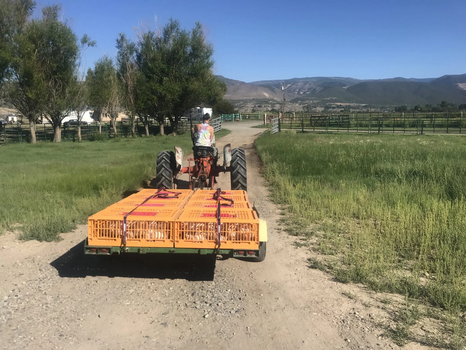 The tractor pulling a flatbed down the farm lane