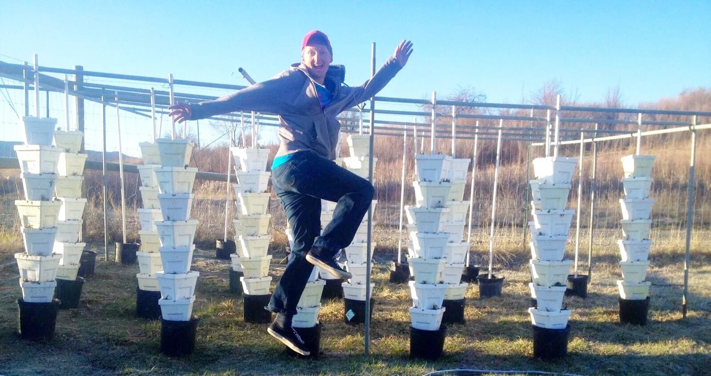 Someone leaping in the air with arms out in front of the empty strawberry towers, under a clear blue sky