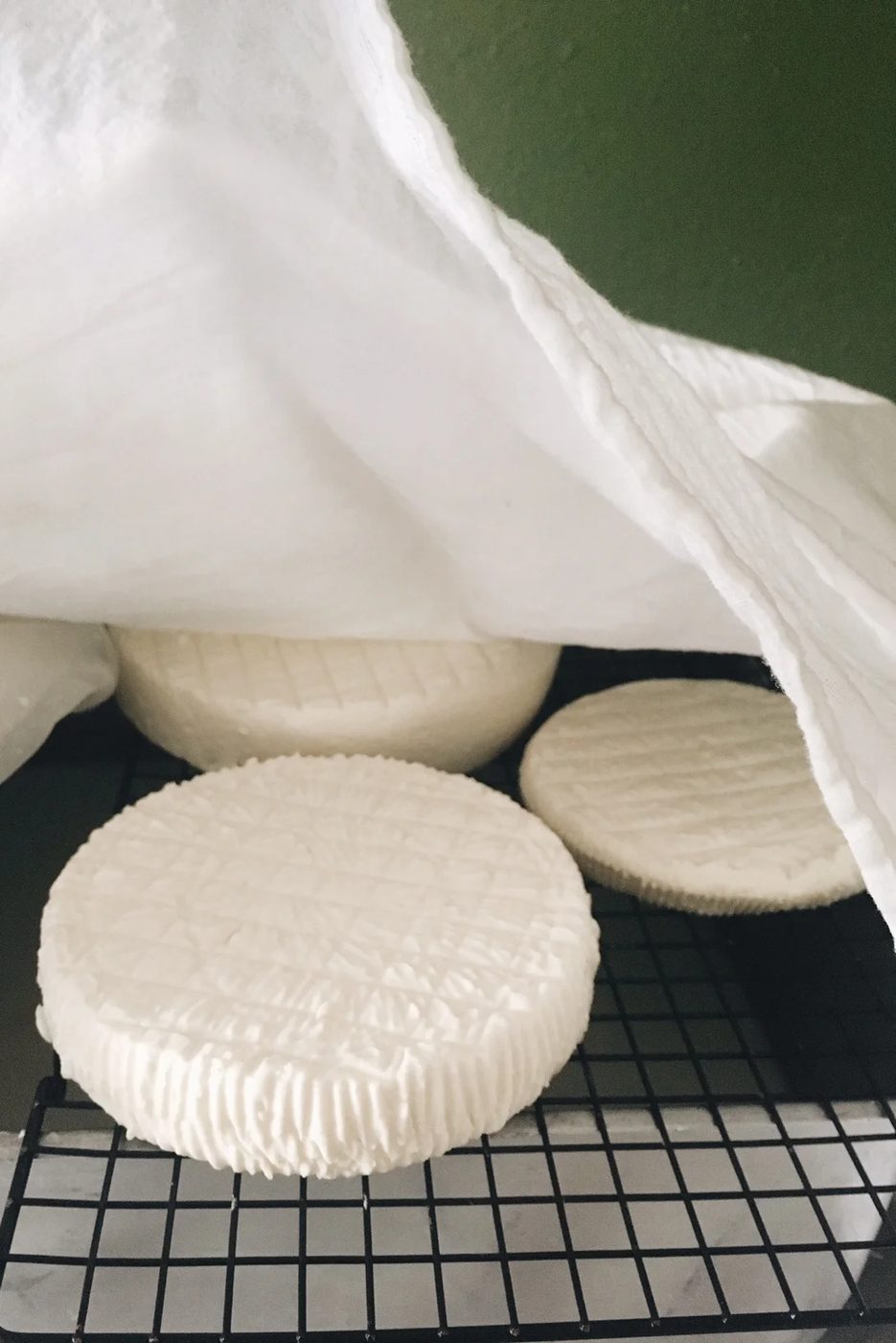 Three cheese rounds draining on a wire rack under a draped cloth