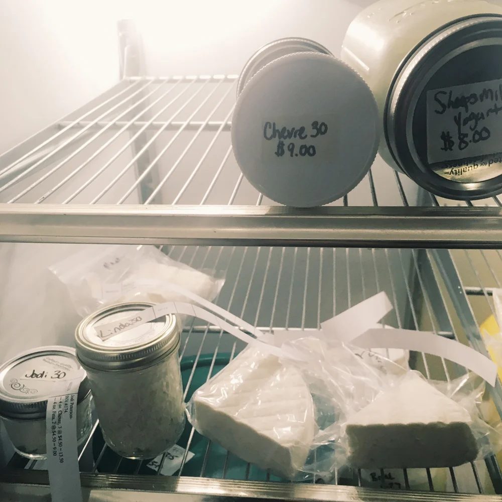 Labelled jars of chevre and wrapped wedges of cheese on the shelves of the dairy fridge